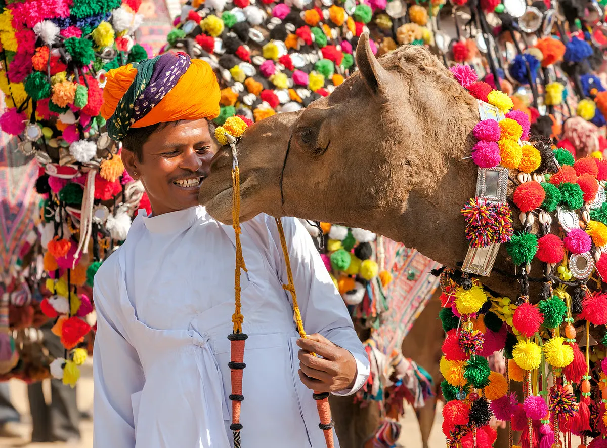 Pushkar Camel Fair Grounds