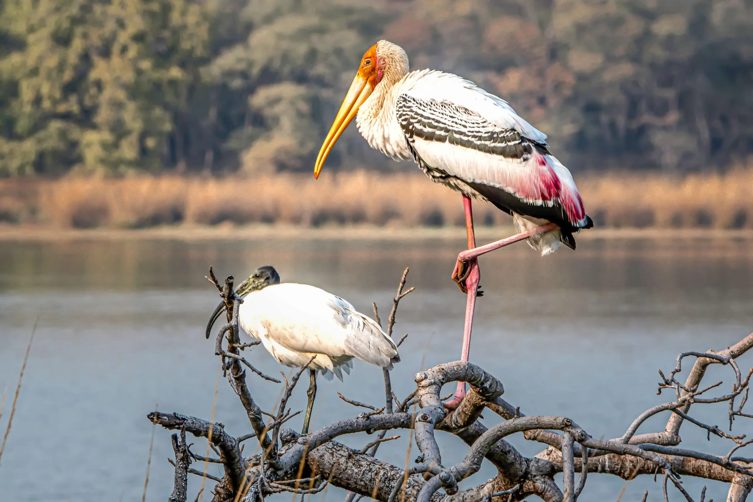 Surwal Lake